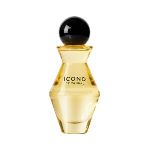Icono